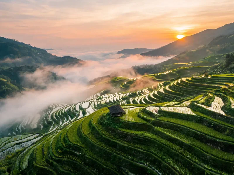 Seedream 5.0 Lite sample: Aerial view of emerald rice terraces at sunrise with low mist drifting through the valleys, golden light, a single farmer's hut, documentary photography style